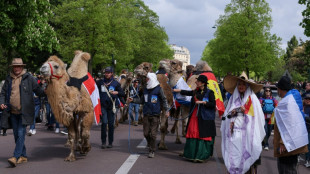 Paris sedia desfile polêmico de camelídeos de todo o mundo