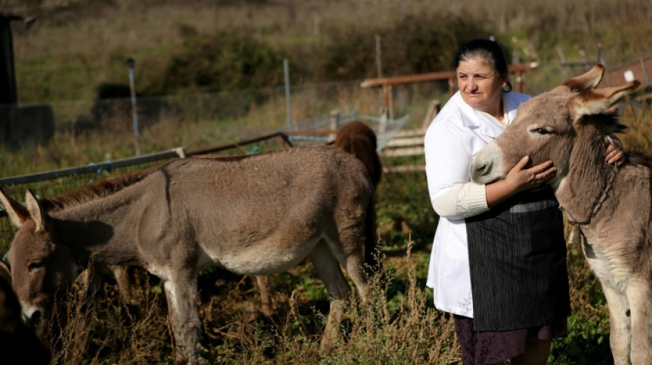 En Albanie, le succ&egrave;s du lait d&rsquo;&acirc;nesse au "go&ucirc;t d'amour"