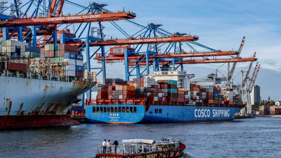 Warnstreik in öffentlichem Dienst stört Schiffsverkehr in Hamburger Hafen 