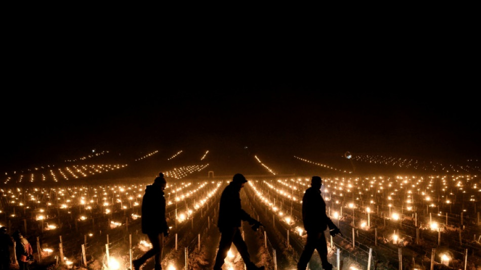 Apr&egrave;s un record de froid et du gel, le redoux attendu sur les vergers