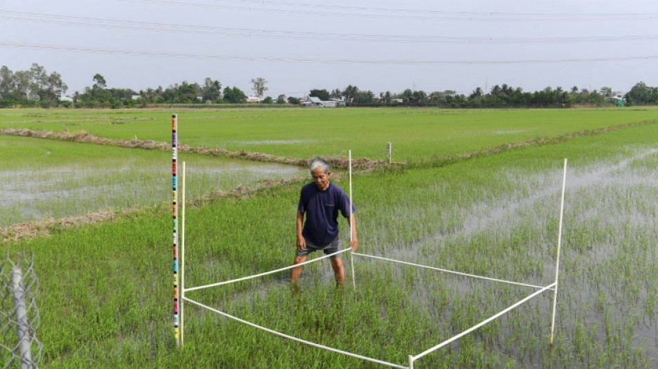 Las concentraciones de metano en la atm&oacute;sfera se aceleran, seg&uacute;n un nuevo estudio