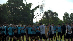 Inversores extranjeros, a la conquista del f&uacute;tbol de Brasil