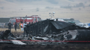 Vingt militaires turcs tués dans le crash d'un avion en Géorgie