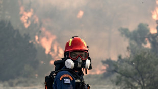 Auf griechischen Inseln und in Süditalien wüten weiter die Feuer