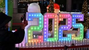 El mundo recibe 2025 tras un a&ntilde;o de guerras, elecciones y gloria ol&iacute;mpica