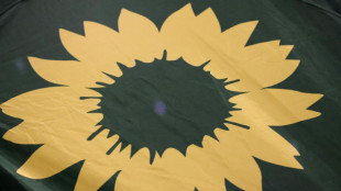 R&uuml;cktritte beim RBB wegen Berichterstattung &uuml;ber Gr&uuml;nen-Politiker Gelbhaar 