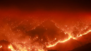 La ONU alerta del alza r&eacute;cord de CO2 en la atm&oacute;sfera en 2024