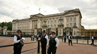 Londres prepara uma de suas 'operações de segurança mais importantes' para a coroação