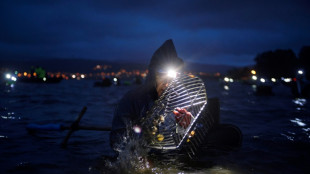 Galicia enfrenta la muerte masiva de mariscos a las puertas de la Navidad
