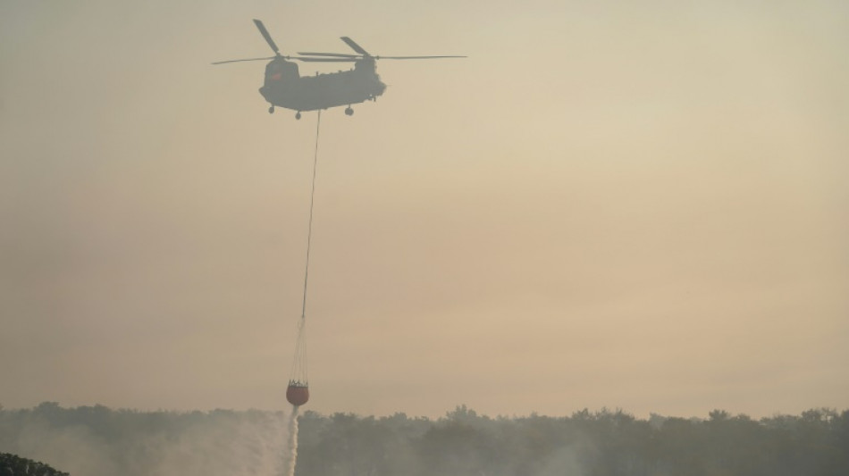 Feu de forêt à Chypre, deux morts
