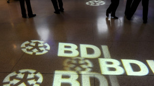 BDI und Forschungsinstitut IWH senken Konjunkturprognose für 2022 deutlich