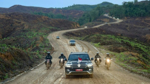 Ind&iacute;genas, amenazados por Nusantara, la futura capital de Indonesia
