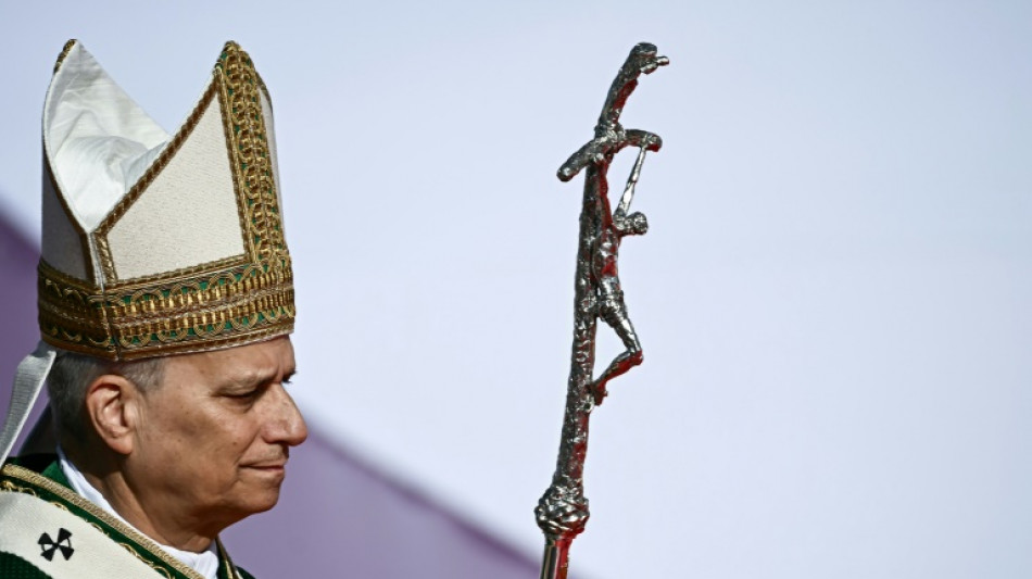 Jubilé: plus d'un million de fidèles à la messe de clôture du pape