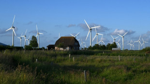 Kabinett bringt feste Länderziele für Windkraftausbau auf den Weg