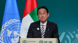 Jap&oacute;n dejar&aacute; de construir centrales de carb&oacute;n sin captura de CO2, afirma el primer ministro