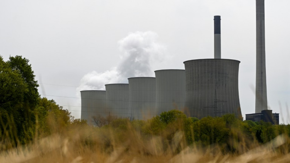 Mehr Strom aus Kohle soll Gasverbrauch senken
