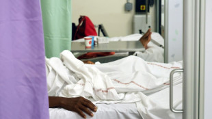 La R&eacute;union: 12 d&eacute;c&egrave;s "li&eacute;s au chikungunya" depuis le d&eacute;but de l'ann&eacute;e, selon Sant&eacute; publique France