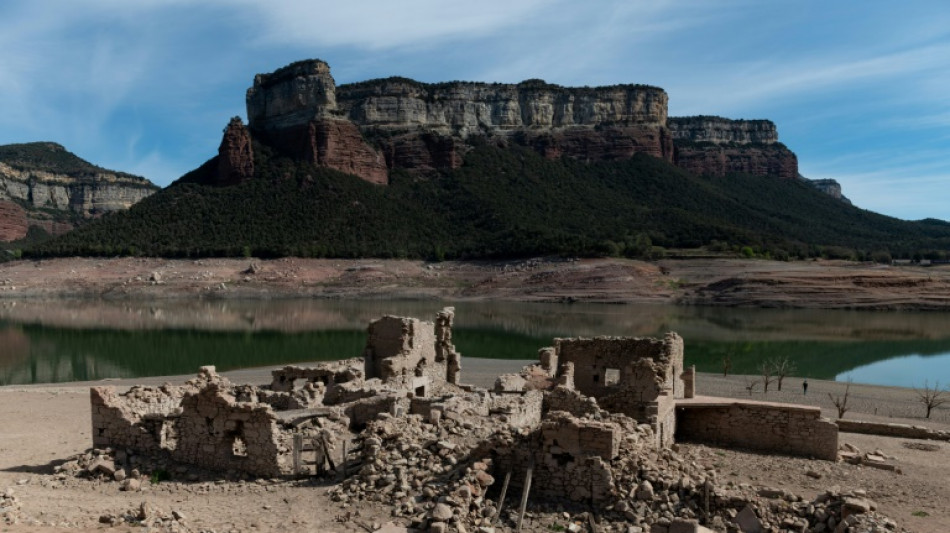 La Catalogne face &agrave; l'une de ses pires s&eacute;cheresses depuis un demi-si&egrave;cle