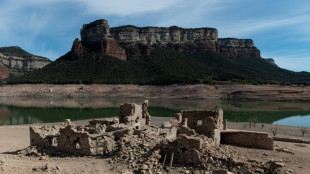 La Catalogne face &agrave; l'une de ses pires s&eacute;cheresses depuis un demi-si&egrave;cle