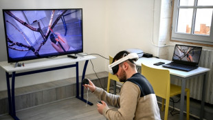 Viticulture: &agrave; Cognac, la r&eacute;alit&eacute; virtuelle au service de la taille des vignes
