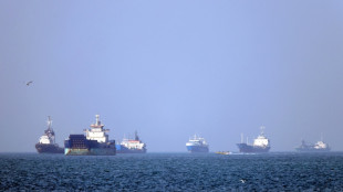 'Start your engines'? Shippers wary on Hormuz reopening