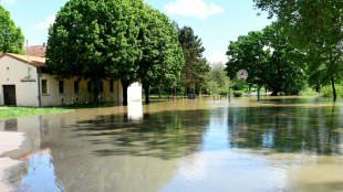 Inondations dans l'Est: "la décrue est bien avancée"