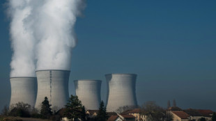 Zeitung: Österreich klagt wegen Einstufung von Atomkraft als nachhaltig vor EuGH