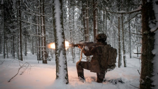 En Estonie, les alliés de l'Otan affrontent le grand froid