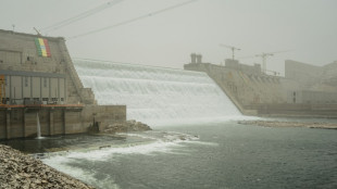 Ethiopia, Egypt, Sudan resume Nile dam talks 