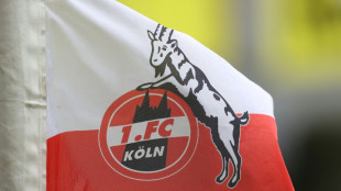 FIFA verurteilt Köln zu Transfersperre - FC geht in Berufung