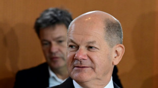 Bundeskanzler Scholz reist zu UN-Klimakonferenz in Scharm el-Scheich