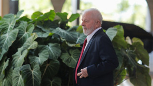 Economia do Brasil cresce 0,8% no primeiro trimestre