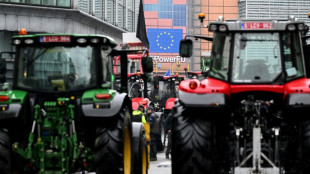 Des tracteurs paralysent Bruxelles, les 27 révisent les règles agricoles