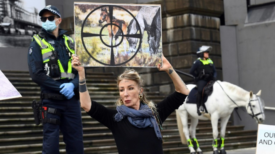 Australien will tausende Wildpferde in Nationalpark aus Hubschrauber abschie&szlig;en