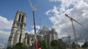 Agulha da catedral de Notre-Dame ser&aacute; reinstalada antes dos Jogos Ol&iacute;mpicos de Paris