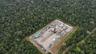 Equador vota por suspender extra&ccedil;&atilde;o de petr&oacute;leo no parque amaz&ocirc;nico Yasun&iacute;