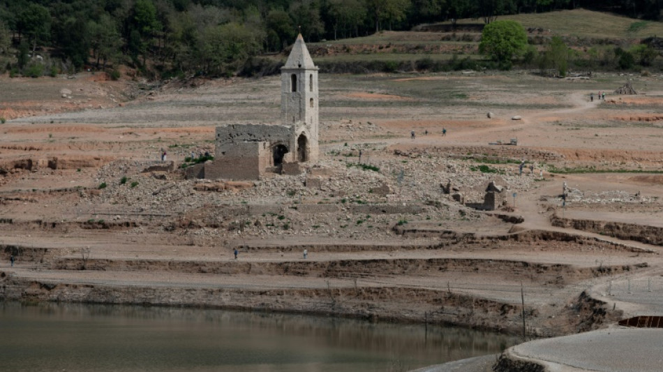 Madrid pide a Bruselas ayuda para sus agricultores por la sequ&iacute;a hist&oacute;rica