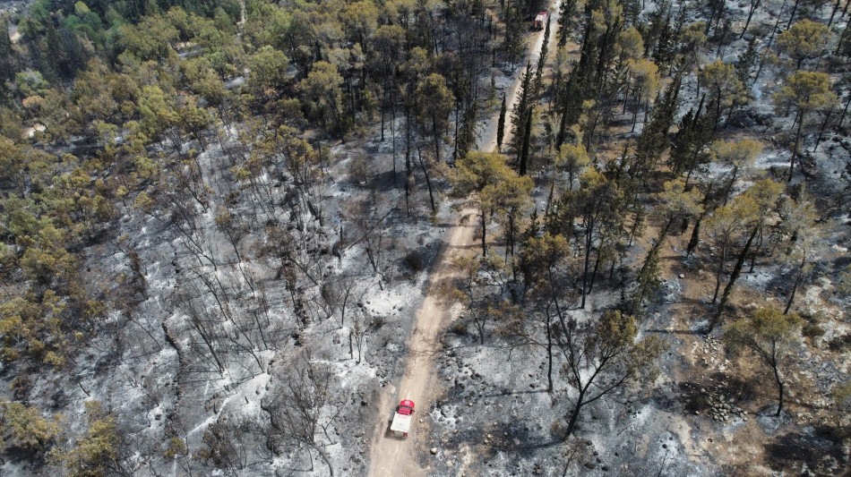 L'incendio sulle colline di Gerusalemme domato dopo 24 ore