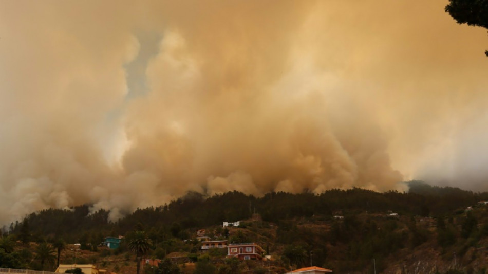 La isla espa&ntilde;ola de La Palma, de nuevo con el fuego a las puertas de casa
