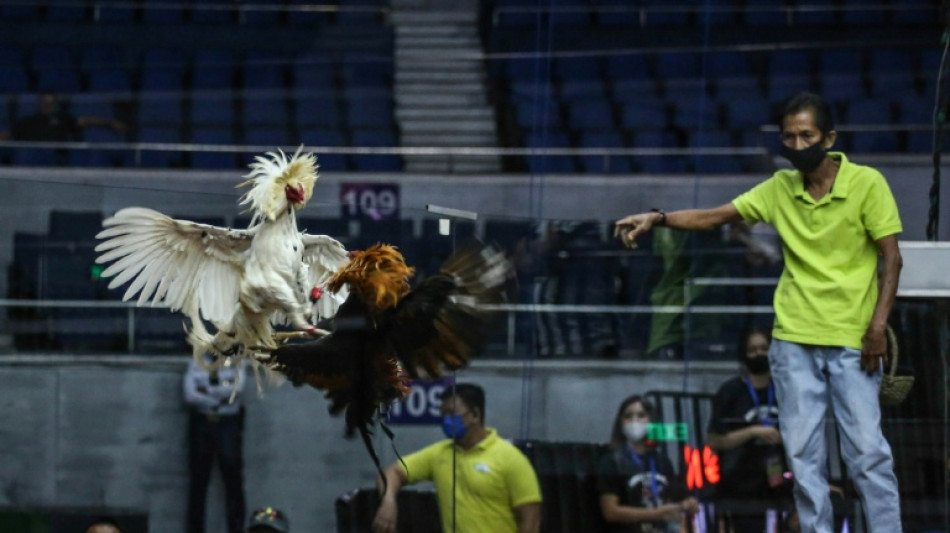 Philippines asks Japan's help searching lake for missing cockfighters