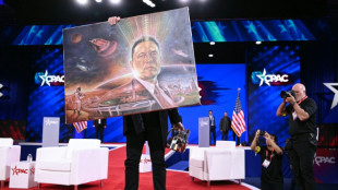 "Sollte in Amerika genauso sein": Musk lobt schnelle Stimmenausz&auml;hlung in Deutschland