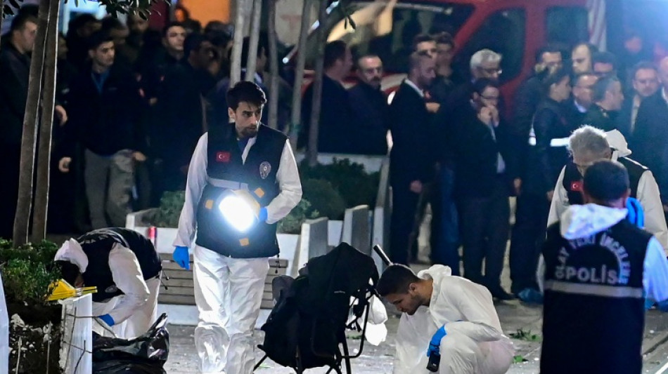 Attentat d'Istanbul: une personne arr&ecirc;t&eacute;e, le r&eacute;gime d&eacute;signe les Kurdes du PKK