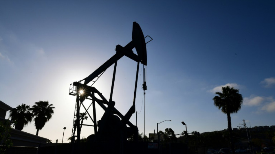 Ukraine: le p&eacute;trole au plus haut en pr&egrave;s de dix ans, record pour le gaz et l'aluminium