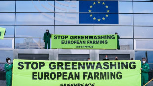 Europaparlament beschließt Greenwashing-Verbot in der Werbung