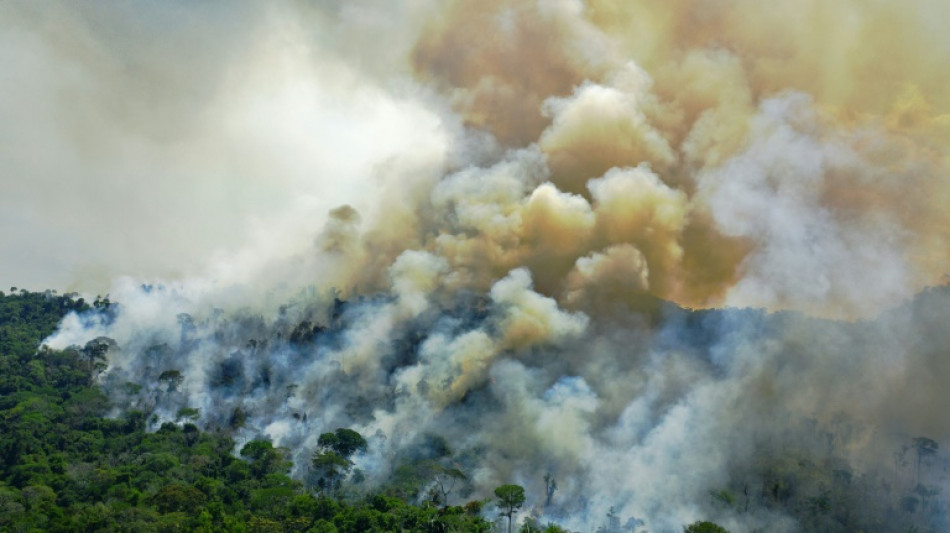 Br&eacute;sil: l'Amazonie, une question br&ucirc;lante absente de la campagne &eacute;lectorale