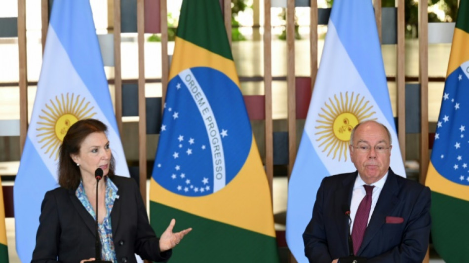 Argentina "jam&aacute;s interferir&aacute;" en asuntos de Brasil, dice canciller tras apoyo de Milei a Musk