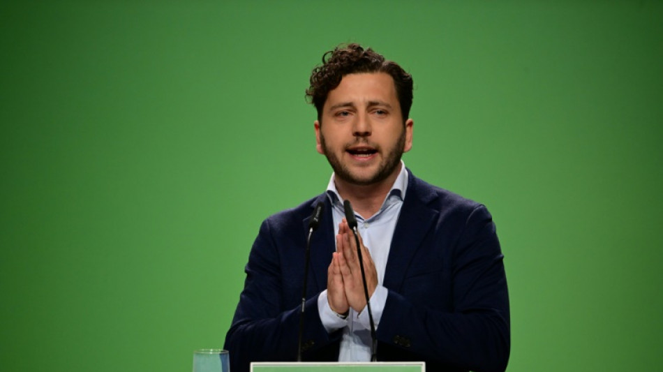 Gr&uuml;ne fordern Merz zu Klarstellung bei Abgrenzung von AfD auf