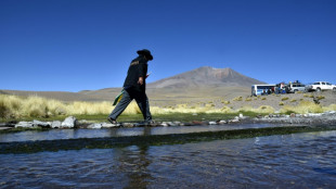 La Bolivie et le Chili cl&ocirc;turent un diff&eacute;rend sur un fleuve transfrontalier