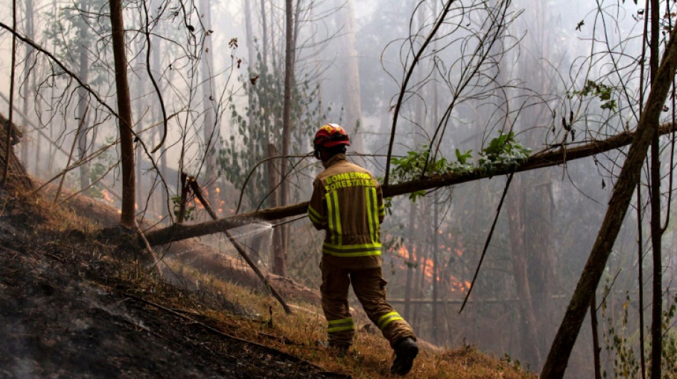 Los incendios forestales en Colombia siguen fuera de control y arrasan 9.000 hect&aacute;reas