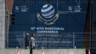 Deutsche Wirtschaftsverbände dringen auf Reform der Welthandelsorganisation